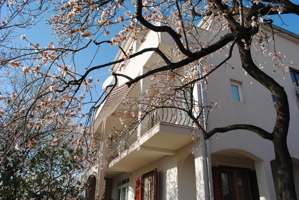 Apartment Natura
