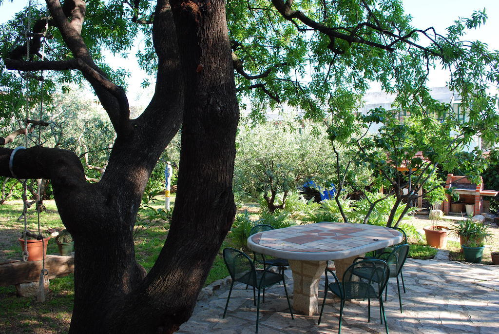 Apartment Natura